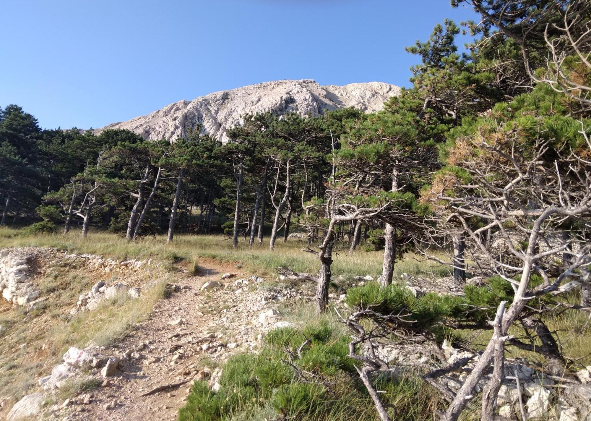Apartmani Baska S Pogledom Na More Luaran gambar